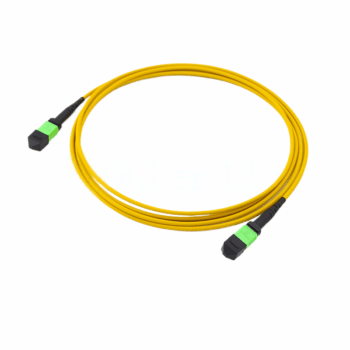 OS2 SingleMode MTP-24 Trunk Cable, Yellow